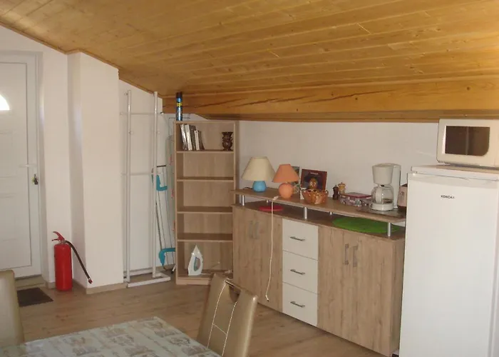 Nicole Apartman Benkovac