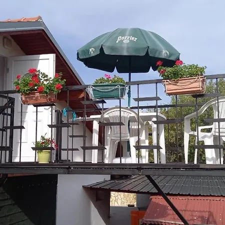 Nicole * 本科瓦茨